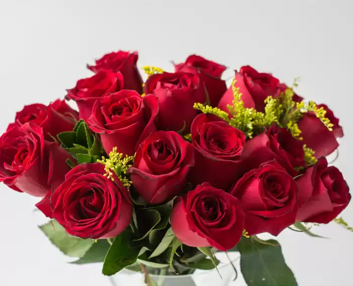 Buquê de 20 Rosas Vermelhas - Imagem 3