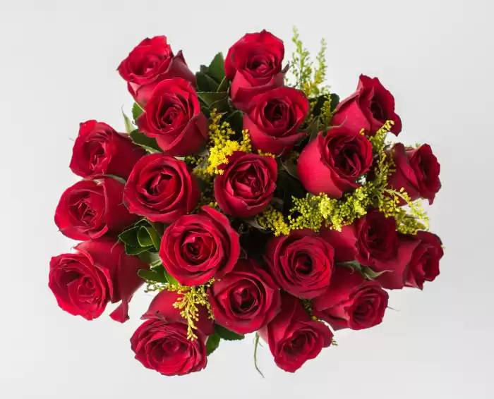 Buquê de 20 Rosas Vermelhas