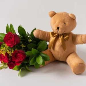 Buquê de 6 Rosas Vermelhas e Pelúcia
