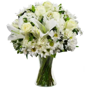 Buque Luxuoso Carinho