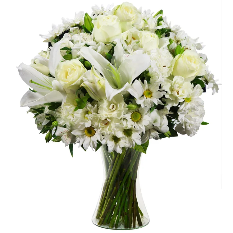 Buque Luxuoso Carinho